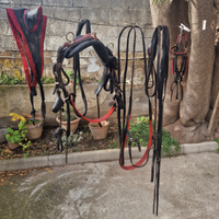 Finimenti in cuoio per pony