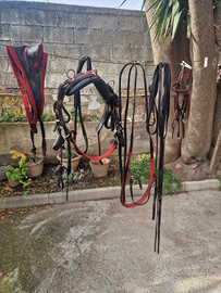 Finimenti in cuoio per pony