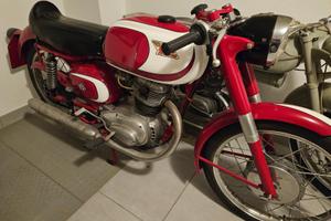 Moto Morini Tresette 175 - 1964