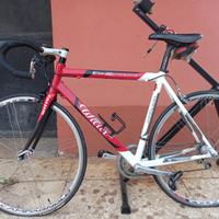 Bici da corsa Wilier Triestina