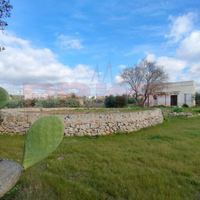 Un po' di verde nel paese