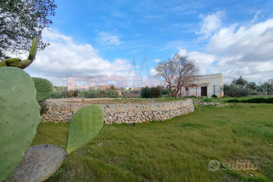 Un po' di verde nel paese