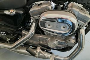 harley davidson sportster 883