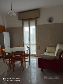 2 camere libere in appartamento a Bologna