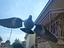 Immagine 3
