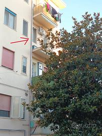 APPARTAMENTO Mariconda- SALERNO