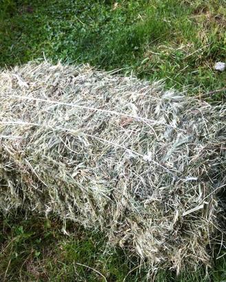 Ballette di fieno di prato comune stabile