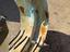 Immagine 4
