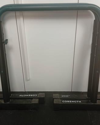 Parallele Dip Decathlon