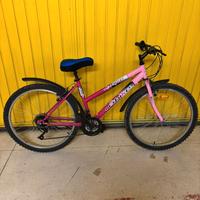 Mountain Bike Netbike 26"