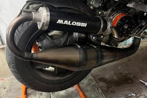 Malossi team 1 piaggio