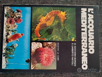 L'Acquario mediterraneo 
