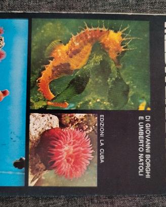 L'Acquario mediterraneo 