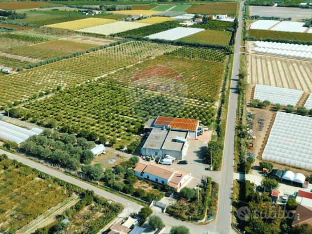 Capannone Industriale - Policoro