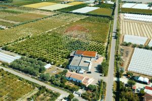 Capannone Industriale - Policoro