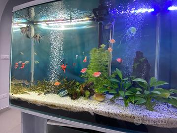 acquario slim su misura