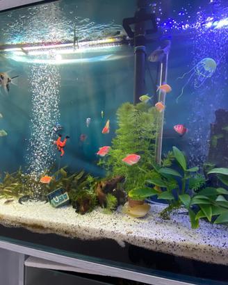 acquario slim su misura