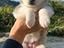 Immagine 4