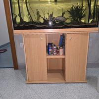 acquario