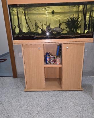acquario