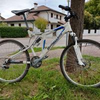 Bici MTB Bottecchia 26" tg S/M eagle wings cc 6.80