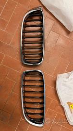 Griglia radiatore bmw
