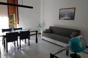 MM verde, solo per ragazza stanza in condivisione