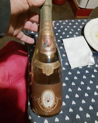 Bottiglia di champagne