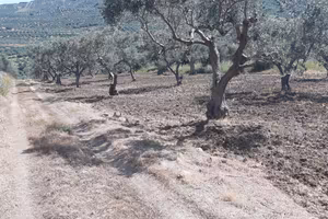 Terreno di 6 tumoli