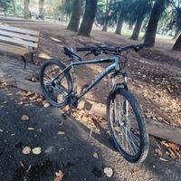 MTB SCRAPPER XC3