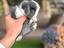 Immagine 5