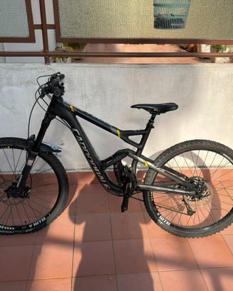 Cannondale Jekyll