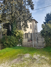 Allevamento professionale