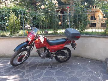 Xt 600