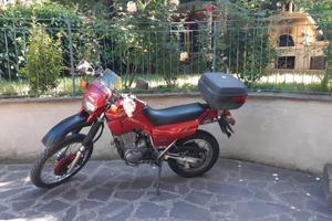 Xt 600
