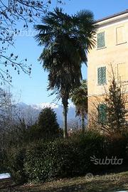 Lago d'Orta. Bilocali in zona verde e tranquilla