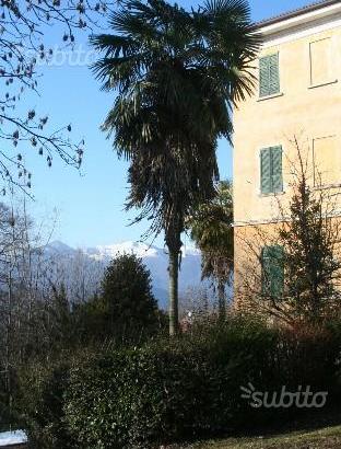 Lago d'Orta. Bilocali in zona verde e tranquilla