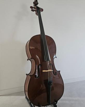 Violoncello STENTOR Student I 4/4 completo usato
