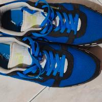Scarpe Puma Uomo Blu e Nere 
