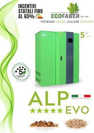 Caldaia a Biomassa Ecofaber ALP EVO 5 Stelle — NUO