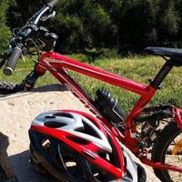 Scott Genius MC 30 (USA)