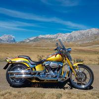 Harley-Davidson Softail Springer C.V.O