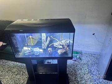 Acquario completo