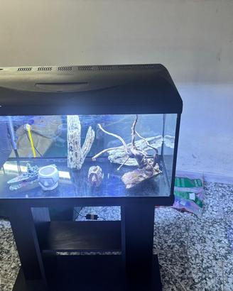 Acquario completo