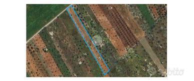 TER. AGRICOLO A GALATINA