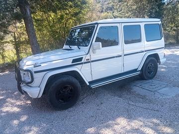Mercedes classe G 463