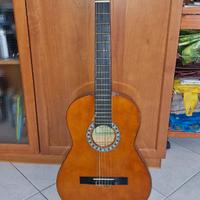 Chitarra acustica