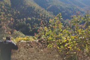 Casa indipendente a varco sabino Rieti
