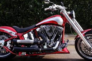 Harley Davidson Softail. SHOW BIKE