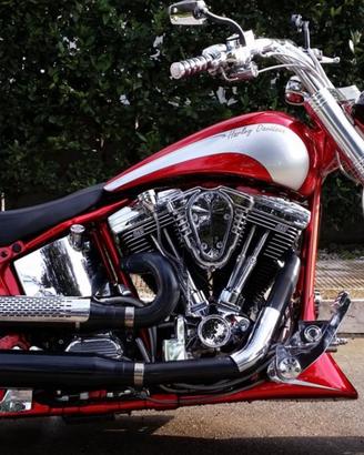 Harley Davidson Softail. SHOW BIKE